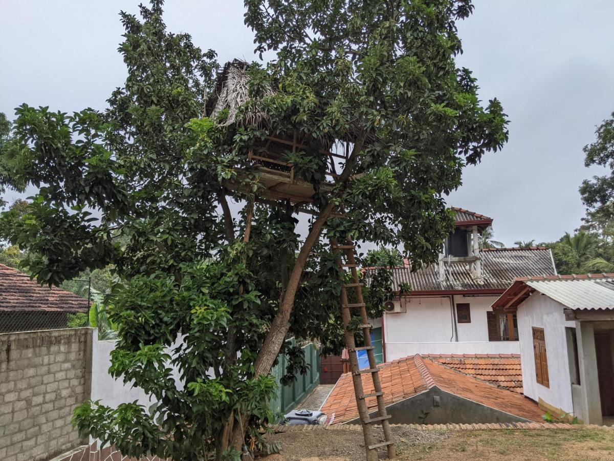 Serendip Villa Holiday Home Talalla Sri Lanka Ngoại thất bức ảnh